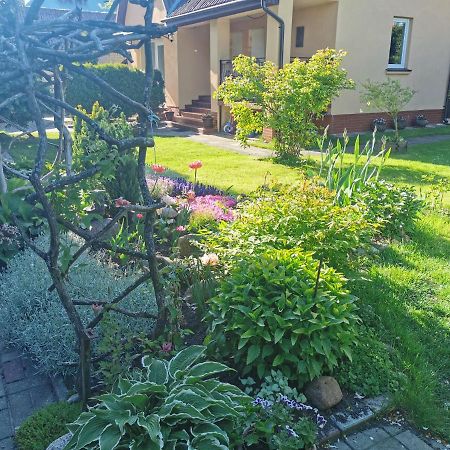 Poilsis Pas Virginija Appartement Palanga Buitenkant foto