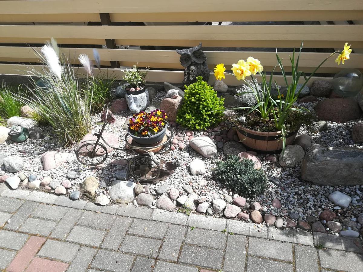 Poilsis Pas Virginija Appartement Palanga Buitenkant foto